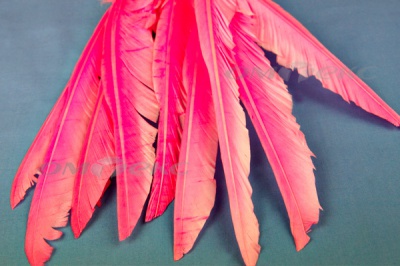 Декоративный Пучок из перьев, перо 25см/розовый - купить в Магадане. Цена: 14.40 руб.
