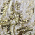 Трикотажное полотно, Сетка с пайетками, шир.130 см, #315, цв.-белый/золото - купить в Магадане. Цена 693.39 руб.
