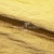 Текстильный материал "Диско"#1805 с покрытием РЕТ, 40гр/м2, 100% полиэстер, цв.5-золото - купить в Магадане. Цена 416.57 руб.