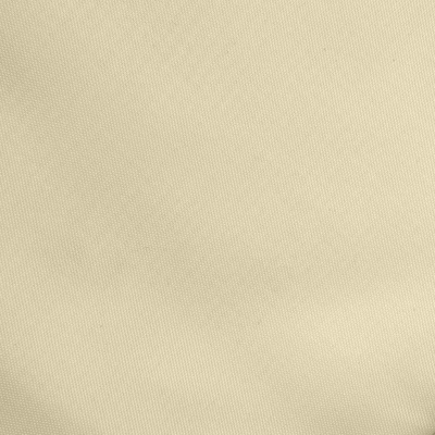 Ткань подкладочная Таффета 14-1014, антист., 53 гр/м2, шир.150см, цвет бежевый - купить в Магадане. Цена 62.37 руб.