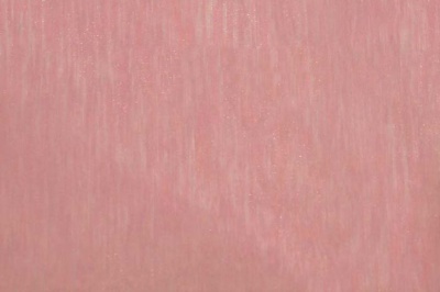 Органза однотонная "Амелия" С19 (Розовый) 280 см - купить в Магадане. Цена 303.09 руб.