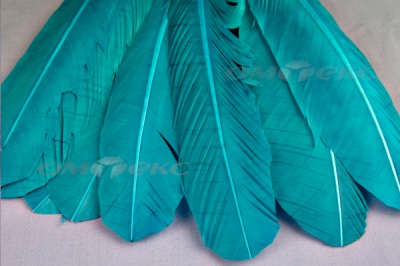 Декоративный Пучок из перьев, перо 24см/голубой - купить в Магадане. Цена: 12.19 руб.