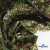 Ткань костюмная «Микровельвет велюровый принт», 220 г/м2, 97% полиэстр, 3% спандекс, ш. 150См Цв  #9 - купить в Магадане. Цена 439.76 руб.
