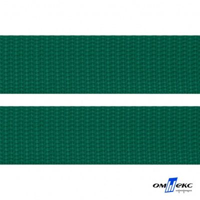 Зелёный- цв.876 -Текстильная лента-стропа 550 гр/м2 ,100% пэ шир.20 мм (боб.50+/-1 м) - купить в Магадане. Цена: 318.85 руб.