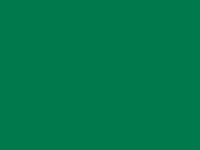 85 см № 258 яр. зеленый спираль (G) сорт-2 - купить в Магадане. Цена: 16.97 руб.