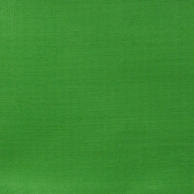 Ткань подкладочная Таффета 17-6153, 48 гр/м2, шир.150см, цвет трава - купить в Магадане. Цена 54.64 руб.