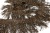 008-коричневый, Бахрома арт.001 шир.10см (упак.12+/-0,5м) - купить в Магадане. Цена: 1 017.33 руб.