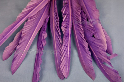 Декоративный Пучок из перьев, перо 25см/фиолетовый - купить в Магадане. Цена: 12.19 руб.