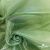 Ткань органза, 100% полиэстр, 28г/м2, шир. 150 см, цв. #27 зеленый - купить в Магадане. Цена 86.24 руб.