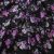 Плательная ткань "Фламенко" 20.1, 80 гр/м2, шир.150 см, принт растительный - купить в Магадане. Цена 241.49 руб.