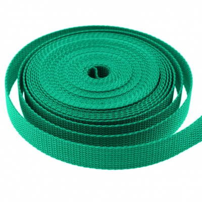 Стропа текстильная, шир. 25 мм (в нам. 50+/-1 ярд), цвет яр.зелёный - купить в Магадане. Цена: 397.52 руб.