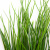 Трава искусственная -4, шт  (осока 50 см/8 см  7 листов)				 - купить в Магадане. Цена: 132.07 руб.