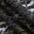Кружевное полотно XD LACE 1-4, 80 гр/м2, шир.150см, цвет чёрный - купить в Магадане. Цена 245.94 руб.